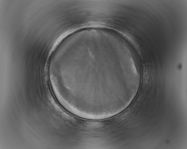 X0000116021382200912111341