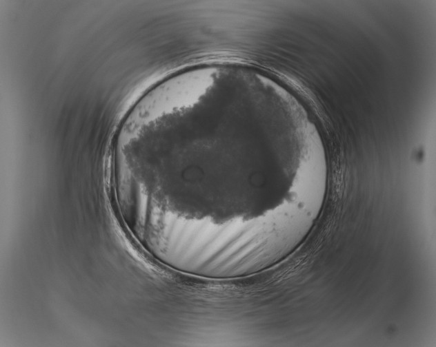 X0000116021383200912111341