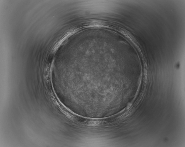 X0000116021385200912111341