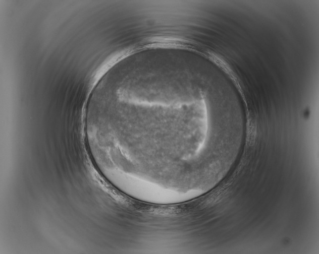 X0000116021386200912111341