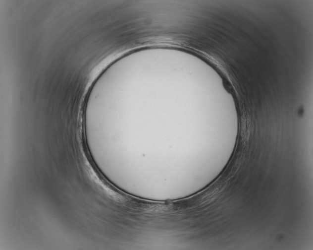 X0000116021387200912111341