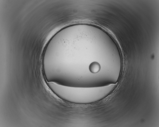 X0000116021389200912111341