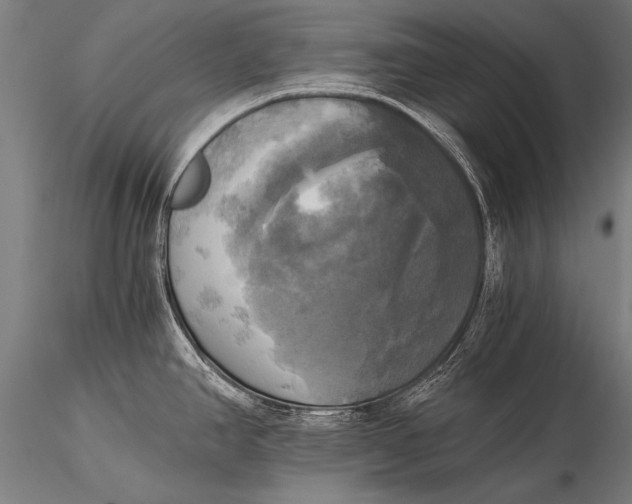 X0000116021390200912111341