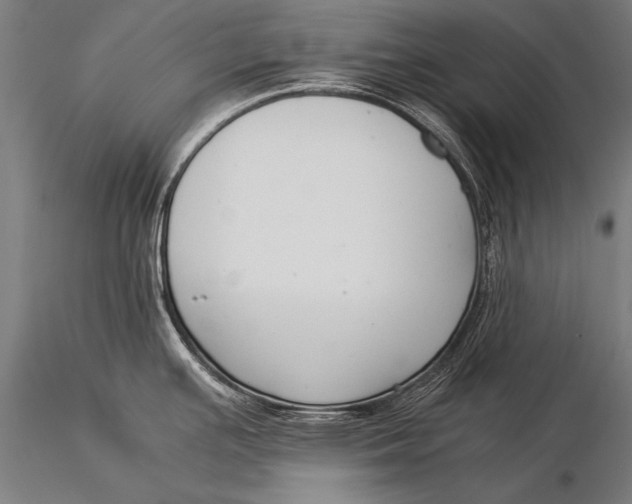 X0000116021391200912111341