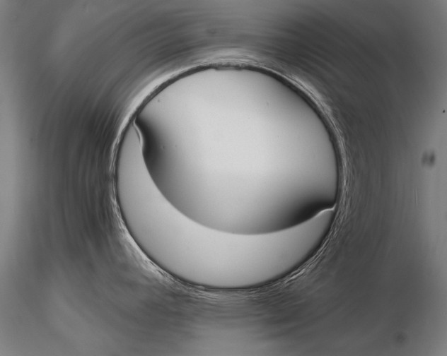 X0000116021392200912111341