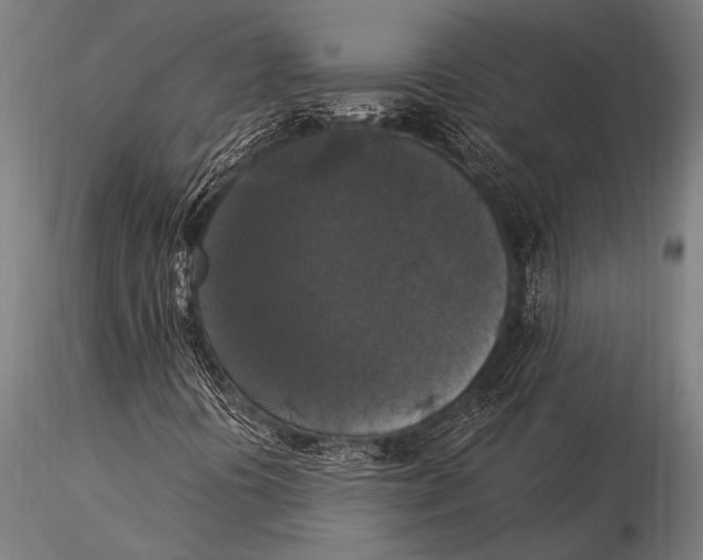 X0000116021394200912111340