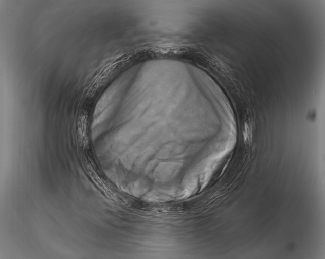 X0000116021396200912111340