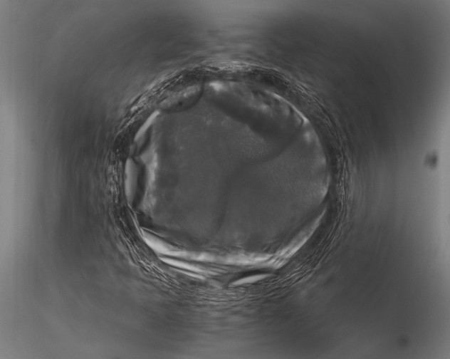 X0000116021397200912111340