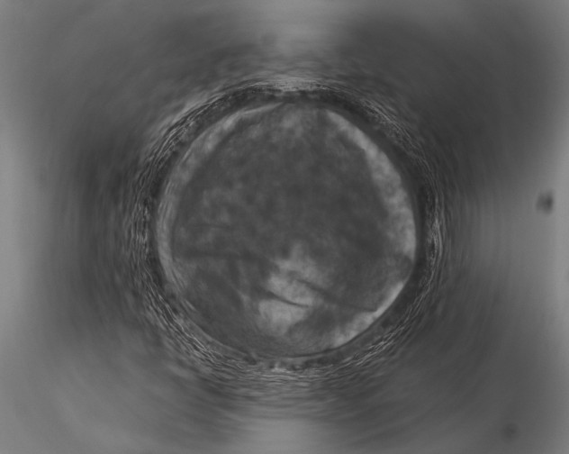 X0000116021398200912111340