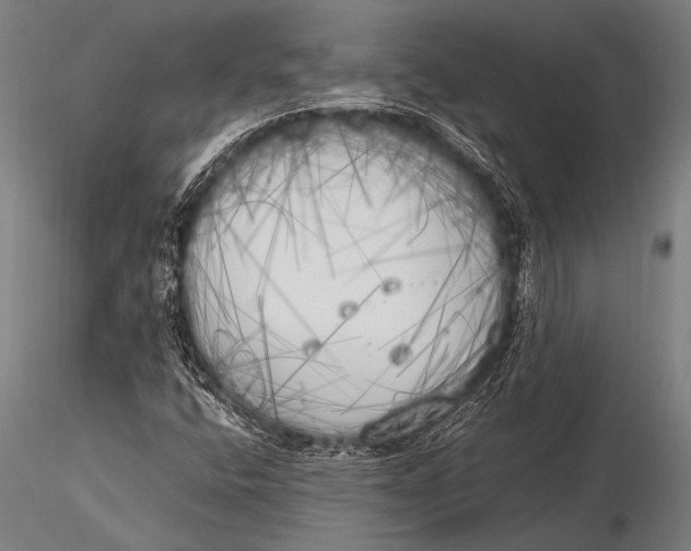 X0000116021400200912111340