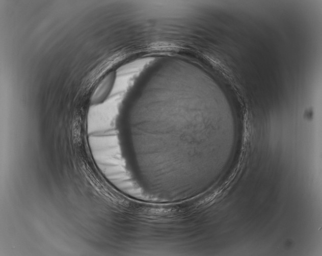 X0000116021401200912111340