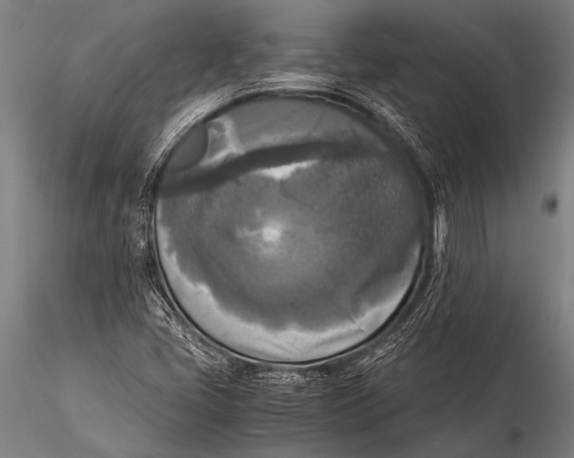 X0000116021405200912111341