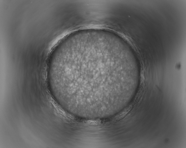 X0000116021406200912111341