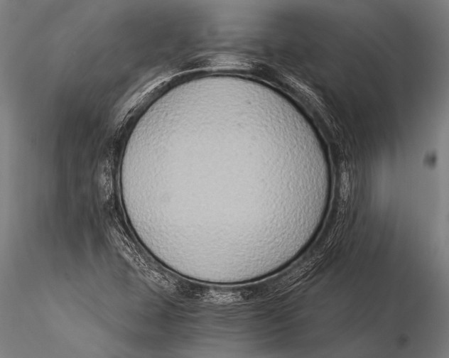 X0000116021407200912111341