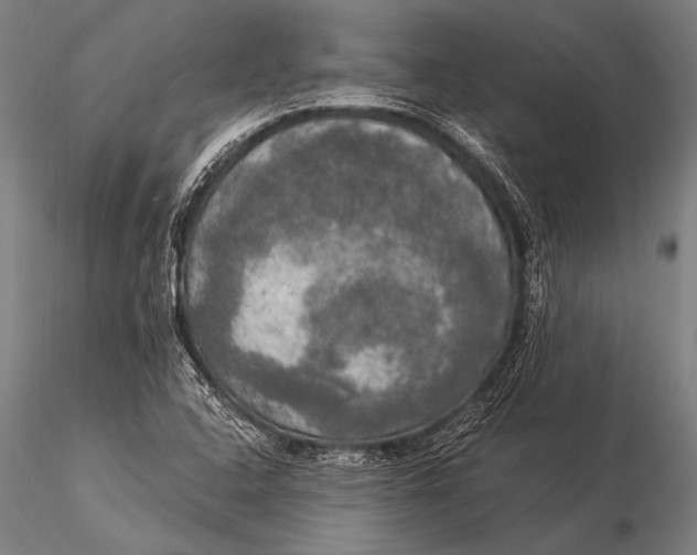 X0000116021408200912111341