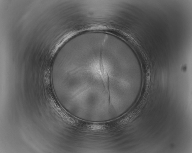 X0000116021409200912111341