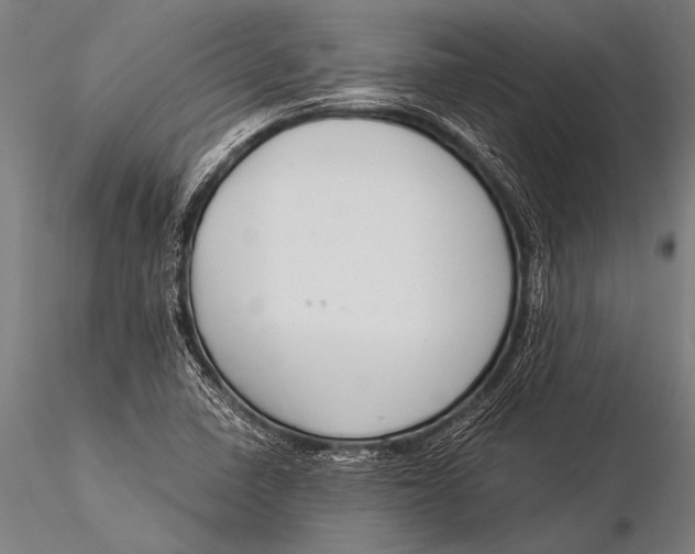 X0000116021410200912111341