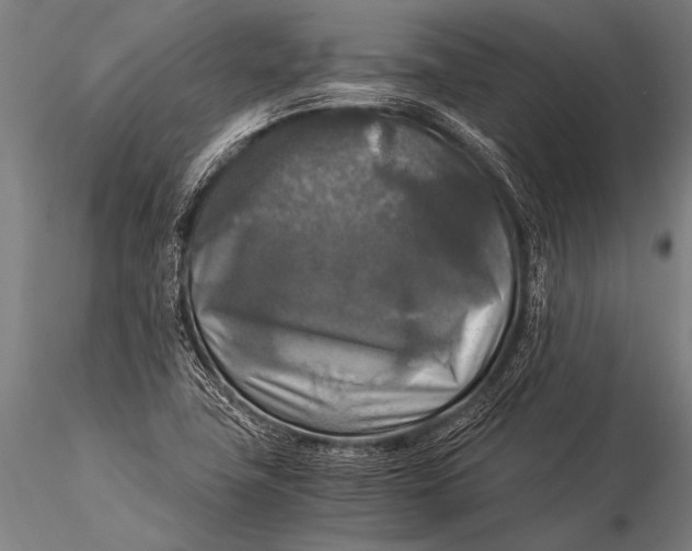 X0000116021411200912111341