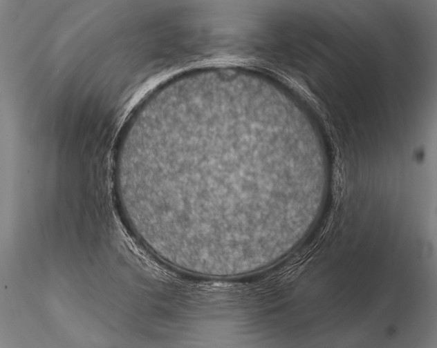 X0000116021412200912111341