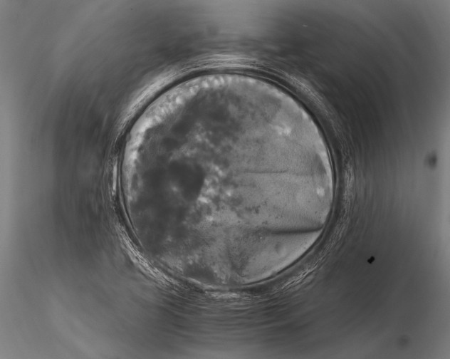 X0000116021413200912111341