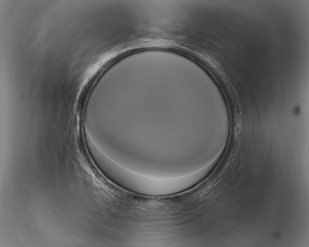 X0000116021414200912111341