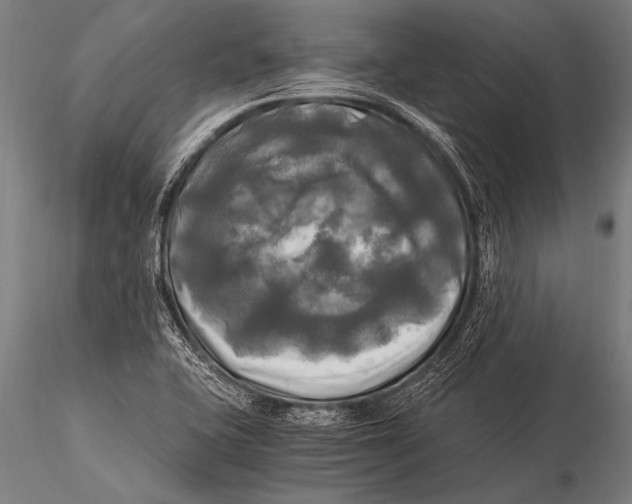 X0000116021415200912111341