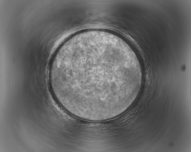 X0000116021416200912111341