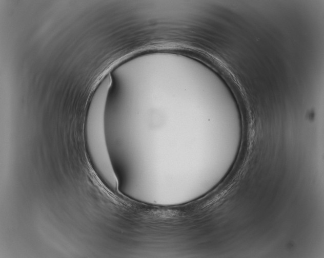 X0000116021417200912111341