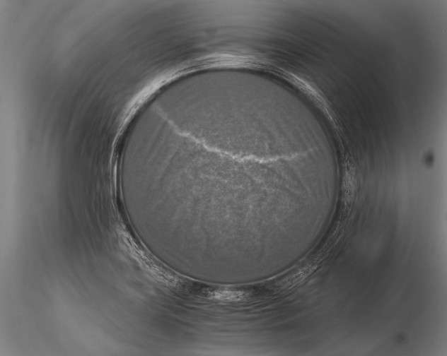 X0000116021419200912111341