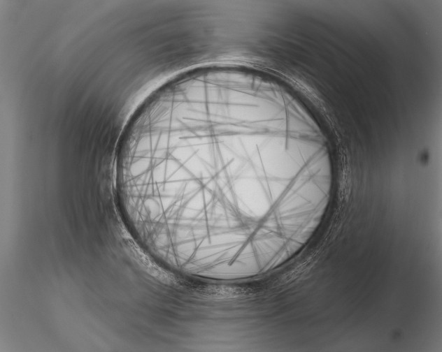 X0000116021420200912111341