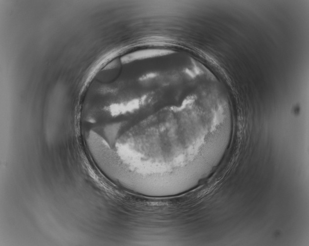 X0000116021421200912111341