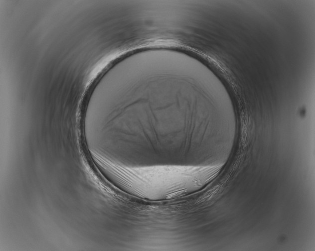 X0000116021422200912111341