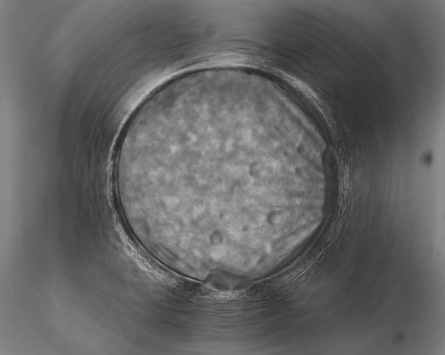 X0000116021423200912111341