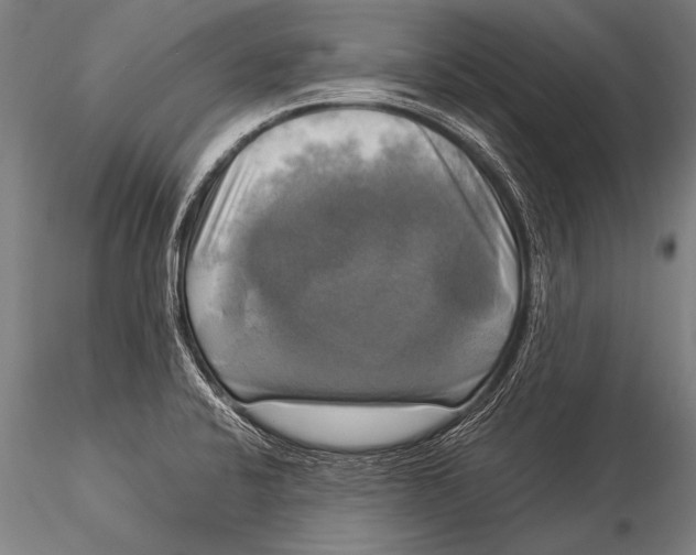 X0000116021424200912111341