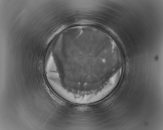 X0000116021425200912111341