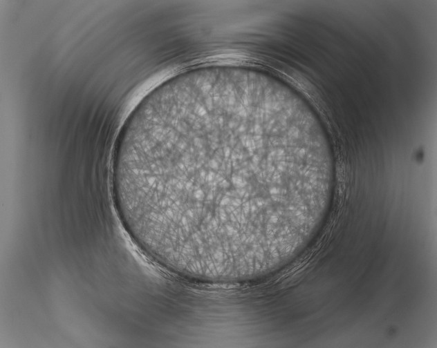 X0000116021426200912111341