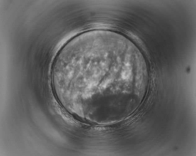 X0000116021427200912111341