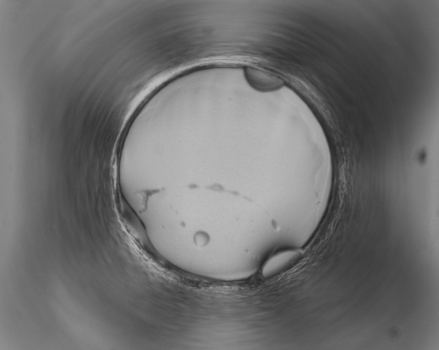 X0000116021428200912111341