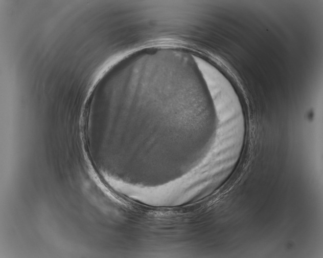 X0000116021429200912111341