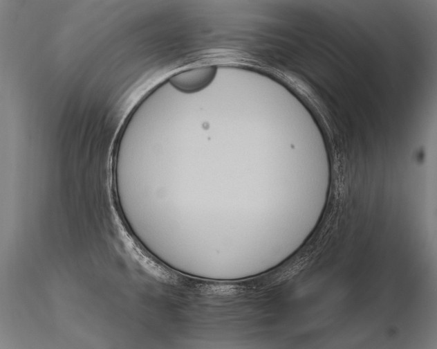 X0000116021431200912111341