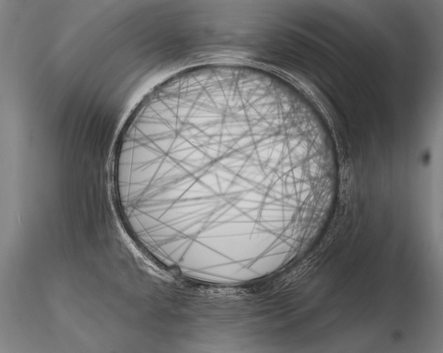 X0000116021432200912111341