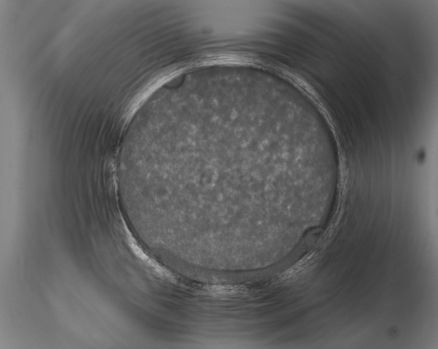 X0000116021433200912111341