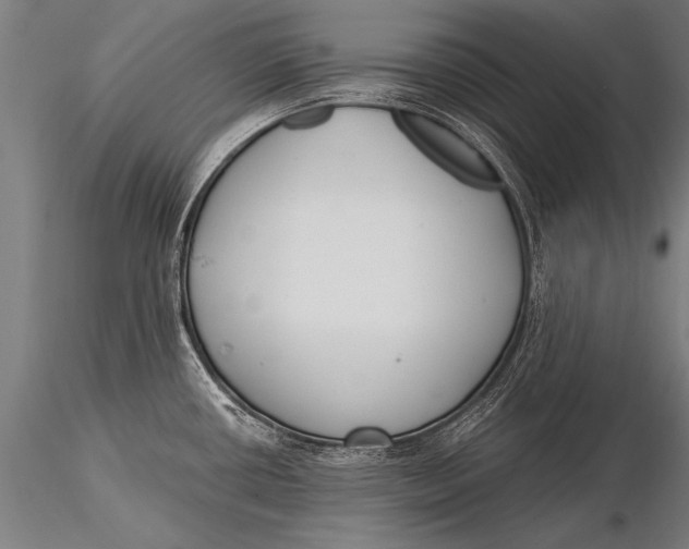 X0000116021434200912111341