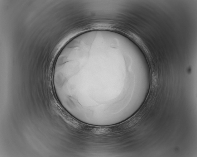 X0000116021435200912111341