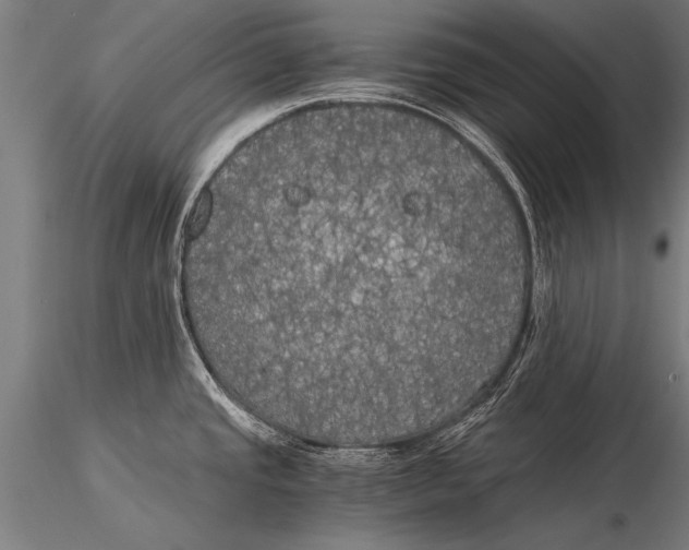 X0000116021437200912111341