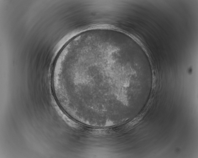 X0000116021438200912111341