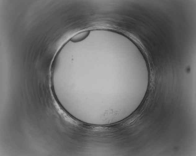 X0000116021439200912111341