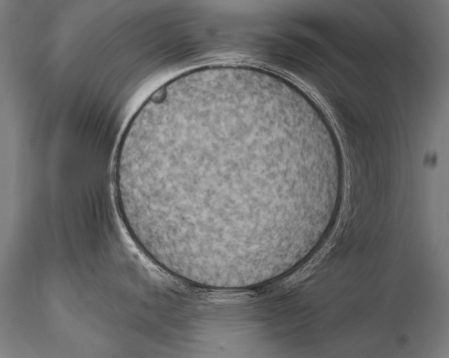 X0000116021440200912111341