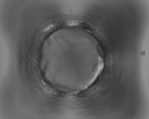 X0000116021441200912111340