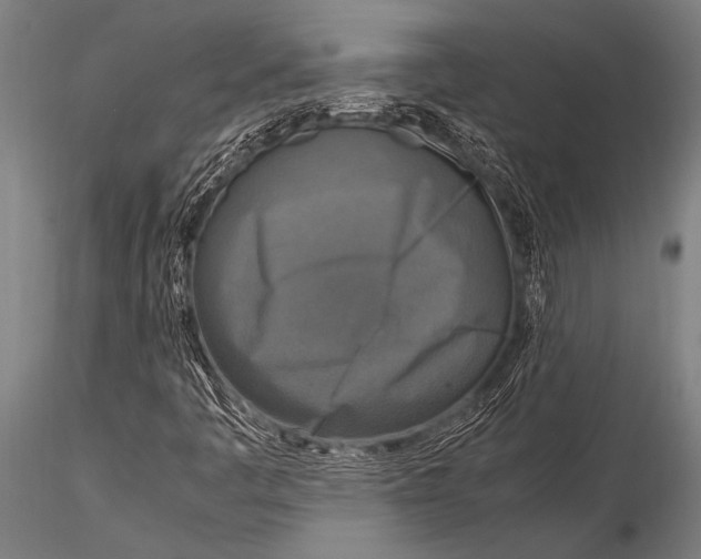 X0000116021445200912111340